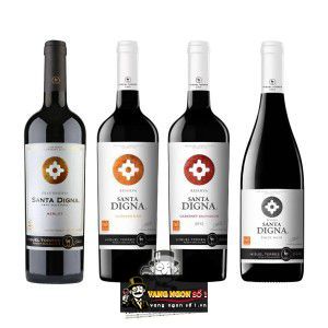 Vang Chile Santa Digna Pinot Noir bn2