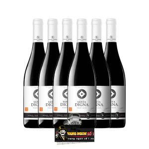 Vang Chile Santa Digna Pinot Noir bn3