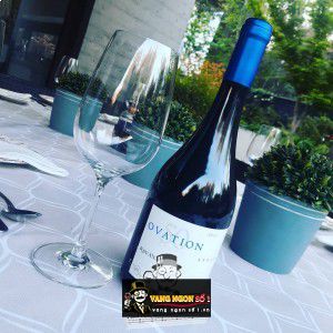 Vang Chile Ovation Ravanal 50 Năm Syrah bn4