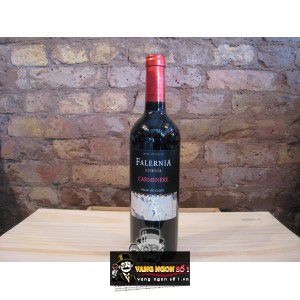 Vang Chile Falernia Merlot Reserva bn1