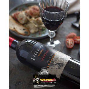 Vang Chile Falernia Merlot Reserva bn2