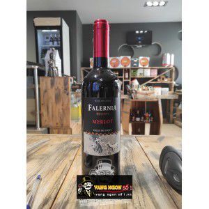 Vang Chile Falernia Merlot Reserva bn3