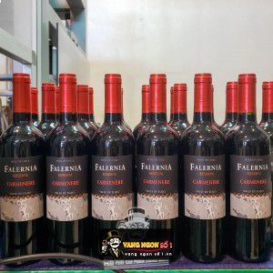 Vang Chile Falernia Merlot Reserva bn4