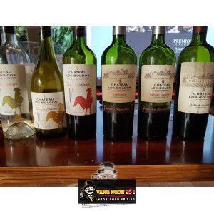 Vang Chile Chateau Los Boldos Grande Reserve Carmenere bn2