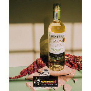 Vang Chile Frontera Sauvignon Blanc Concha Y Toro bn1