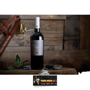 Vang Chile Haras de Pirque Reserva de Propiedad 91 điểm bn3