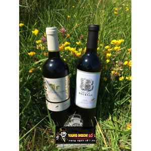 Rượu vang Pháp Chateau La Chandeliere bn4