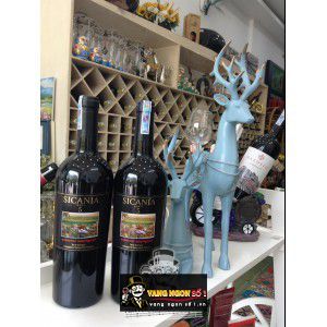 Vang Ý Sicania Cabernet Sauvignon 2009 bn1