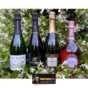 Vang Ý Belstar Prosecco Bisol Cuvee Rose Brut Veneto bn3