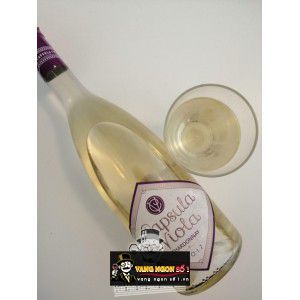 Vang Ý Antinori Capsula Viola Toscana bn1