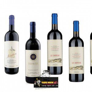 Vang Ý Tenuta San Guido Guidalberto Toscana bn3