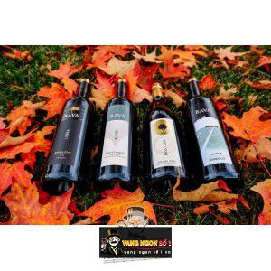 Vang Ý Bava Libera Barbera dAsti bn1