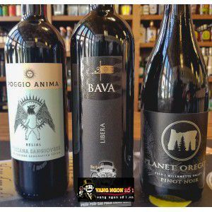 Vang Ý Bava Libera Barbera dAsti bn2