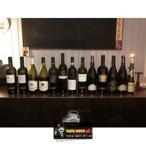 Vang Ý Santinumi Reserva  Montepulciano Abruzzo 98 đểm bn1