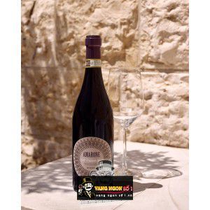 Vang Ý Amarone Della Valpolicella Classico Botter bn1