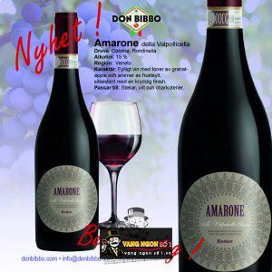 Vang Ý Amarone Della Valpolicella Classico Botter bn2