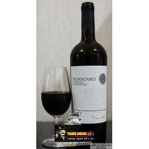 Vang Ý Pignataro Tagaro Primitivo Di Manduria DOC bn1