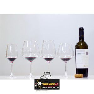 Vang Ý Pignataro Tagaro Primitivo Di Manduria DOC bn2