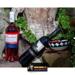 Vang Ý Cantine De Falco FALCO NERO Salice Riserva DOP bn2