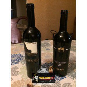 Vang Ý Cantine De Falco FALCO NERO Salice Riserva DOP bn3