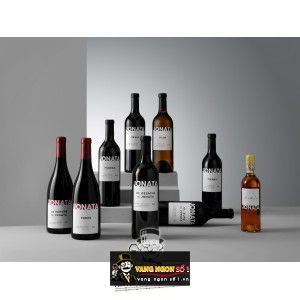 Rượu Vang Jonata Todos Santa Ynez Valley bn2