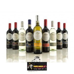 Vang Ý Sensi Collezione Primitivo Puglia bn2