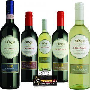 Vang Ý Sensi Collezione Primitivo Puglia bn3