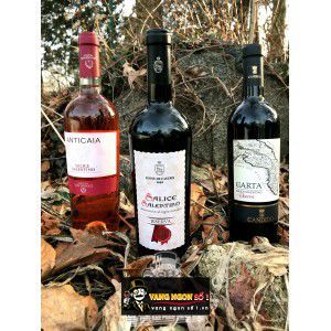 Vang Ý La Carta Candido Riserva cao cấp bn3