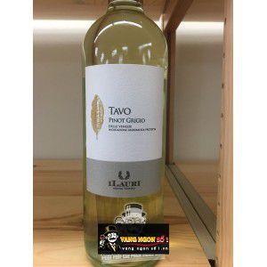 Vang Ý ILauri Tavo Pinot Grigio bn1