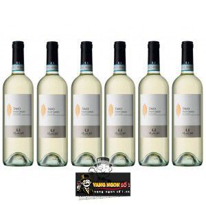 Vang Ý ILauri Tavo Pinot Grigio bn4