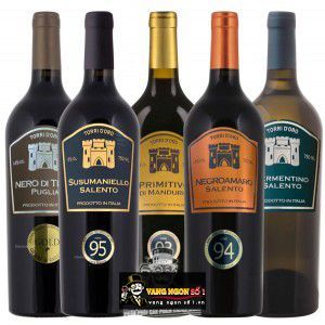 Vang Ý Torri DOro Nero di Troia Puglia bn2