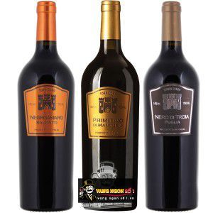 Vang Ý Torri DOro Nero di Troia Puglia bn4