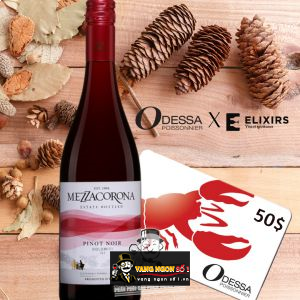 Vang Ý Mezzacorona Pinot Noir Dolomiti IGT bn2
