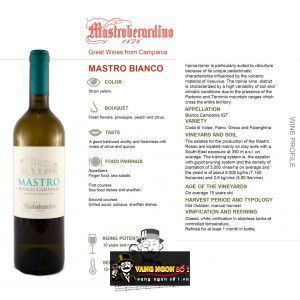 Vang Ý Mastro Bianco Campania Mastroberardino bn1