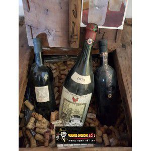 Vang Ý Sodole GuicciartdinStrozzi Uống ngon bn3