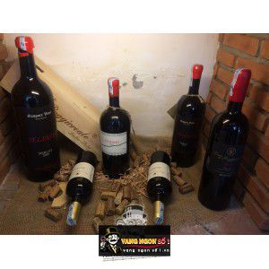 Vang Ý Selinus Merlot 2006 bn1