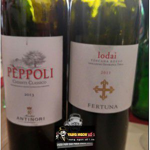 Vang Ý Peppoli Estate Chianti Classico Antinori bn2