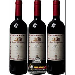 Vang Ý Santa Margherita Merlot Veneto IGT