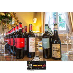 Vang Ý Villabella Bardolino Classico Vigna Morlongo Cao Cấp bn4