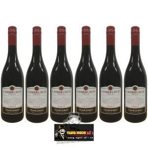 Vang Ý Lambrusco dell Emilia Ogni Giorno bn1