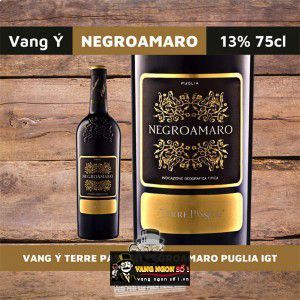 Rượu vang Terre Passeri uống ngon bn1