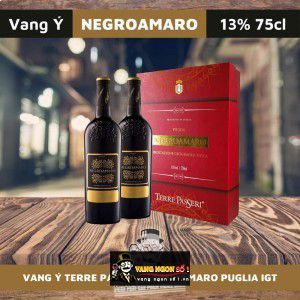 Rượu vang Terre Passeri uống ngon bn3