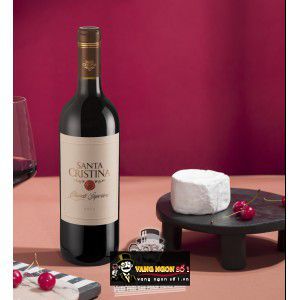 Vang Ý Santa Cristina Chianti Superiore bn1