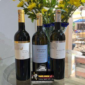 Vang Ý Bottega Vinai Pinot Grigio bn3