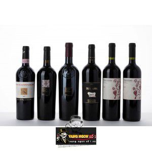 Vang Ý Patrimo Feudi di San Gregorio bn3