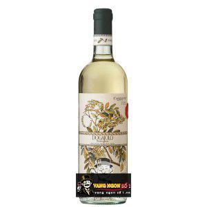 Rượu vang Carpineto Dogajolo Toscana IGT Đỏ Trắng bn1
