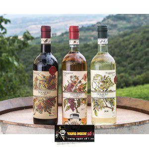 Rượu vang Carpineto Dogajolo Toscana IGT Đỏ Trắng bn4
