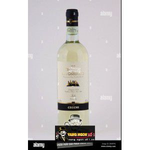 Vang Ý Cecchi Vernaccia di San Gimignano DOCG bn1