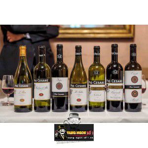 Vang Ý Pio Cesare Fides Barbera Dalba bn1