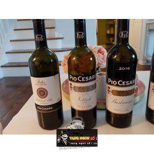 Vang Ý Pio Cesare Fides Barbera Dalba bn2